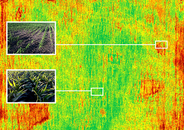 Drones for Agriculture | Drone Agriculture Inspection & Spraying